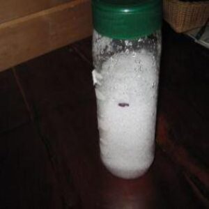 Measuring Amount of Precipitation in Snow Image